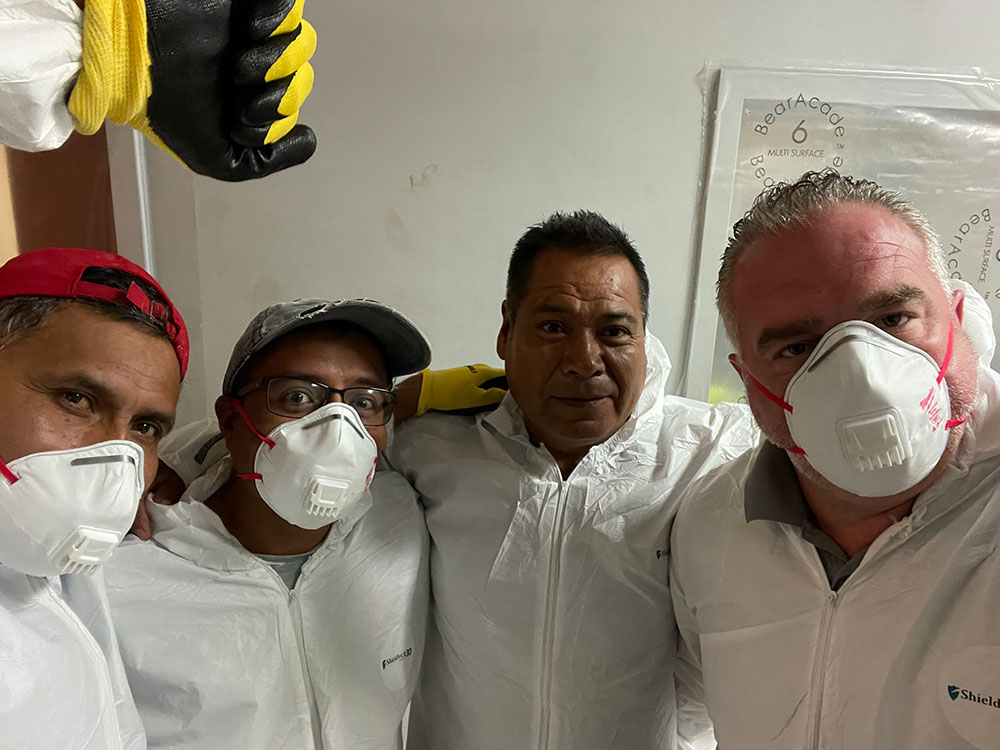 Mold Removal Company in West Windsor NJ